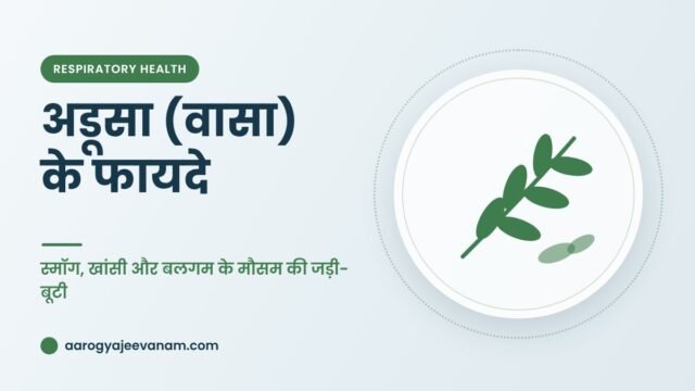 अडूसा (वासा) के फायदे – स्मॉग, खांसी और बलगम के मौसम की जड़ी-बूटी