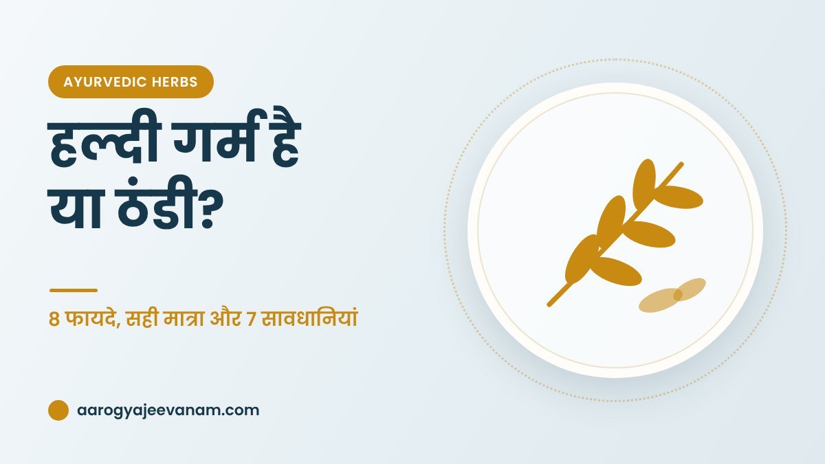 हल्दी गर्म है या ठंडी? – 8 फायदे, सही मात्रा और 7 सावधानियां