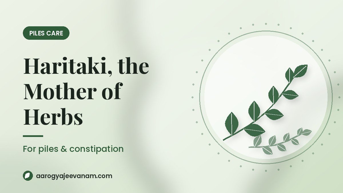 Haritaki for Piles and Constipation: Why Ayurveda Calls It “the Mother of Herbs”