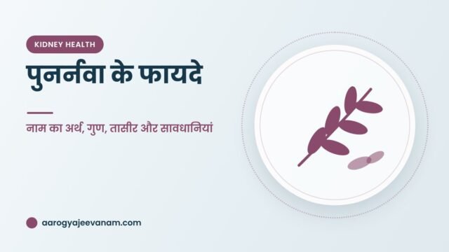 पुनर्नवा के फायदे – नाम का अर्थ, गुण, तासीर और सावधानियां