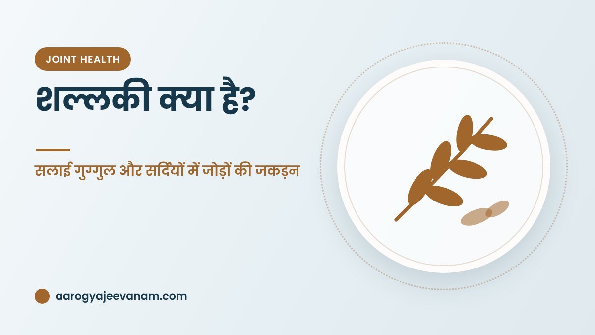 शल्लकी क्या है? – सलाई गुग्गुल और सर्दियों में जोड़ों की जकड़न