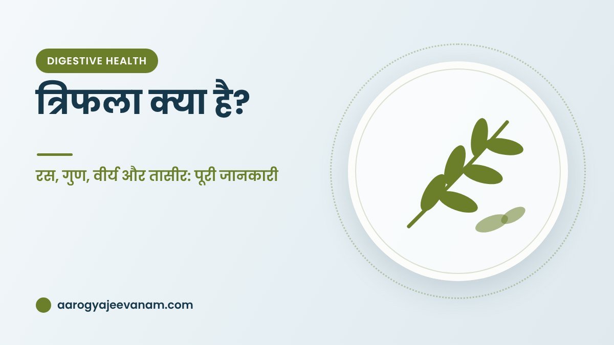 त्रिफला क्या है? – रस, गुण, वीर्य और तासीर: पूरी जानकारी