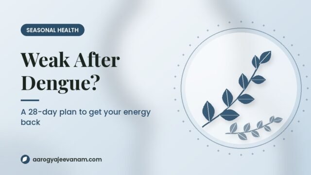Weakness After Dengue? A 28-Day Plan to Get Your Energy Back