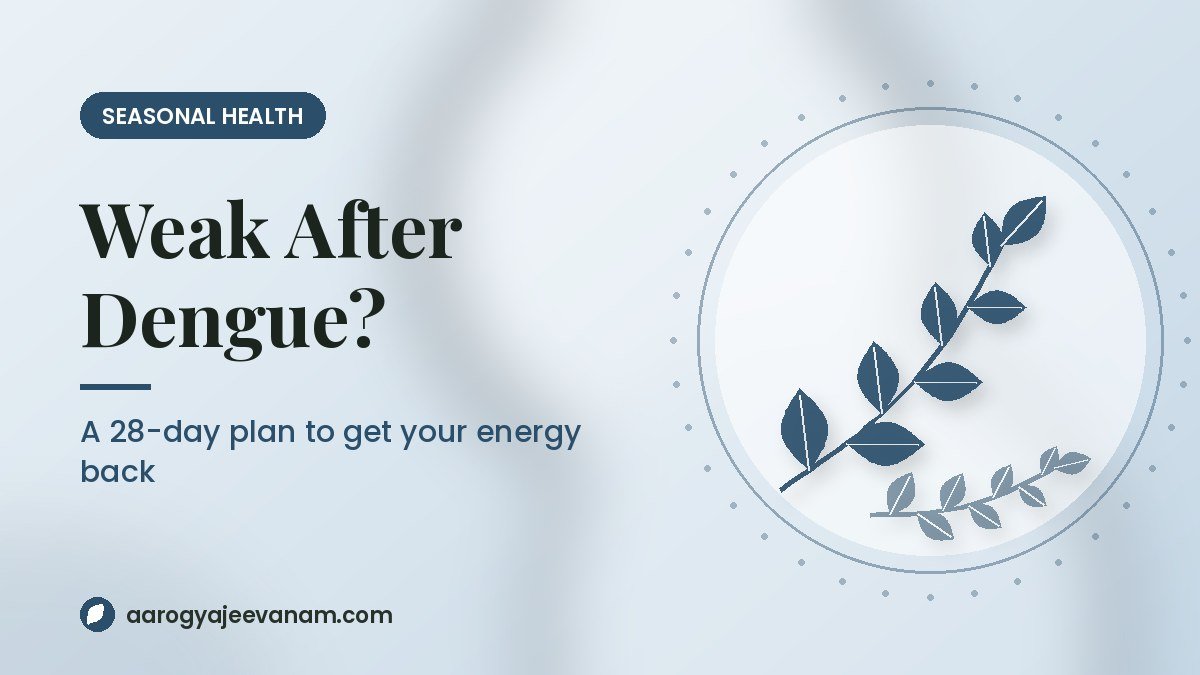 Weakness After Dengue? A 28-Day Plan to Get Your Energy Back